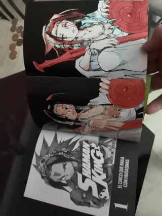 Shaman King