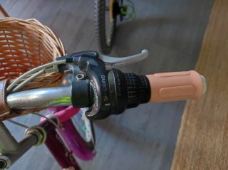 Bicicleta infantil 20 pulgadas morada