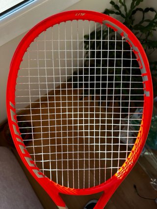 Raqueta HEAD Radical Lite 260g Tenis / Frontenis