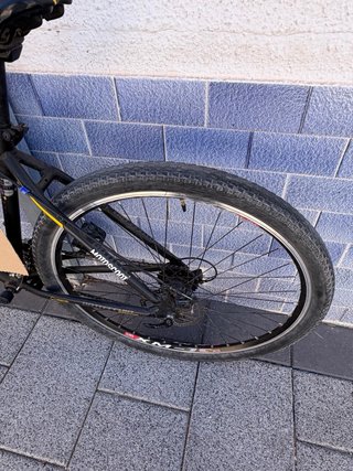 Bicicleta Bottecchia