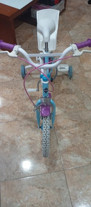 Bicicleta Frozen 16 con ruedines