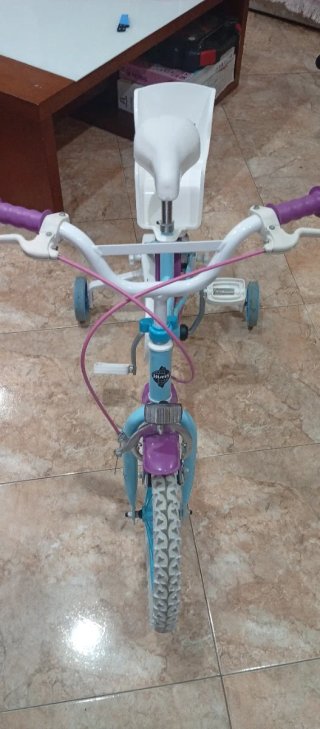 Bicicleta Frozen 16 con ruedines