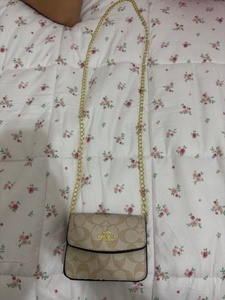 Bolso  Beige y Dorado Cadena