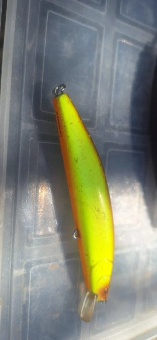 Señuelos de pesca variados