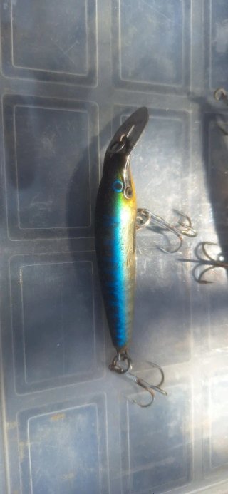 Señuelos de pesca variados