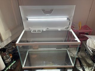 Acuario completo 60L - NUEVO SIN USAR