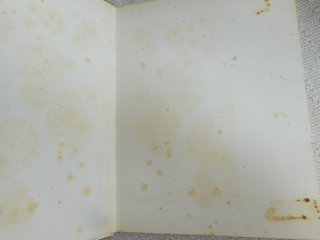El gato jeremías y otras historias de gatos, 1969