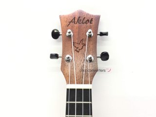 ukelele aklot aks21
