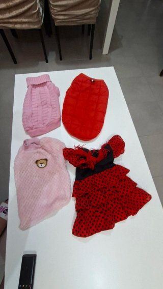 Ropa para perritos Talla M