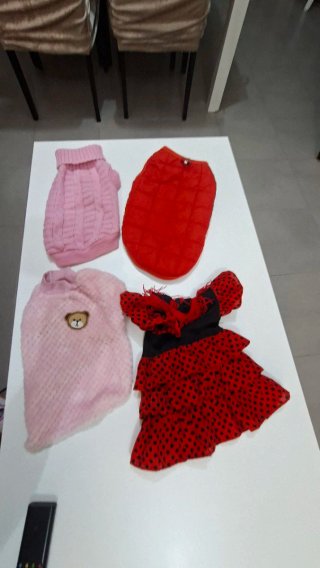 Ropa para perritos Talla M