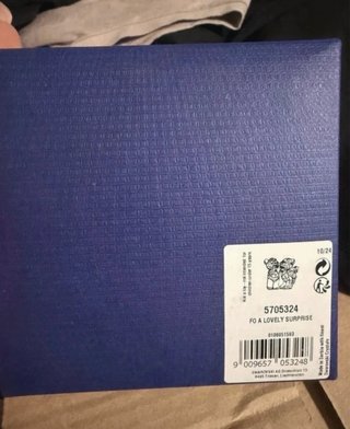 Coppia Swarovski Orsetti Cristallo