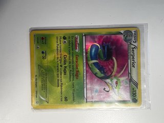 Carta Pokémon Serperior 125/124