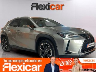 Lexus UX 2.0 250h Business