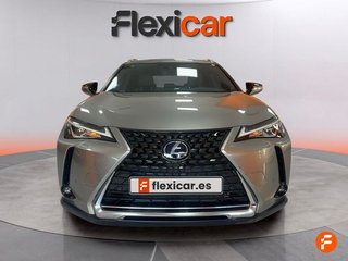 Lexus UX 2.0 250h Business