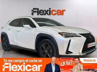 Lexus UX 2.0 250h Business