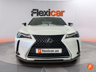 Lexus UX 2.0 250h Business
