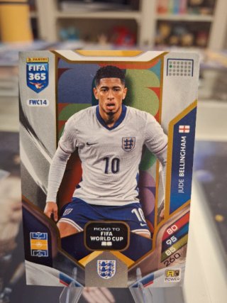Cromos FIFA 365 - Road to World Cup