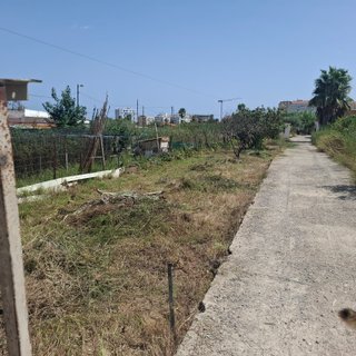 Parcela huerto y ocio