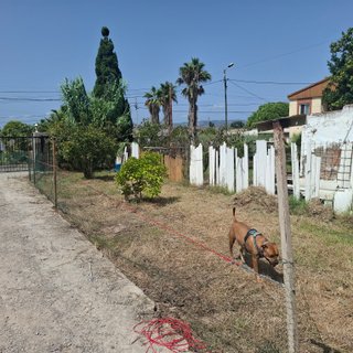Parcela huerto y ocio