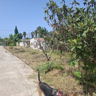 Parcela huerto y ocio