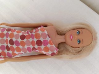 Lote 5 Barbies