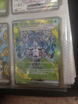 Carta Pokémon Oogabooga EX 210 HP