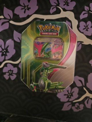 Lata Pokémon Iron Leaves TCG
