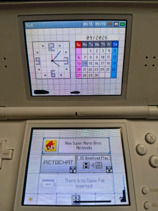 Nintendo DS Lite bianca (Funziona con caricatore)