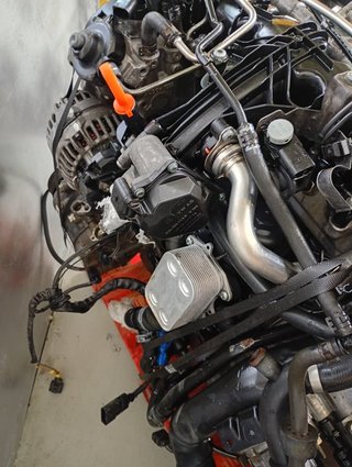 MOTOR COMPLETO Volkswagen Golf VI (5K1)(10.2008->2012)