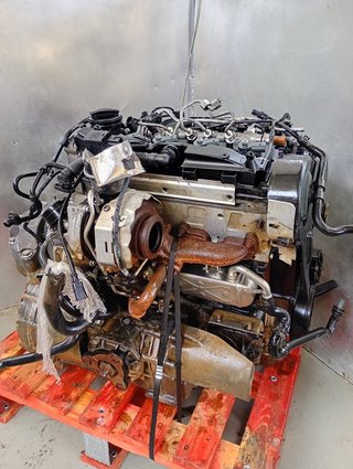 MOTOR COMPLETO Volkswagen Golf VI (5K1)(10.2008->2012)