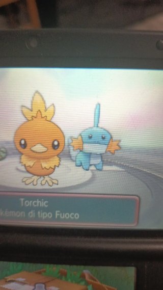 Ottimizzazione Nintendo 2DS XL, 3DS XL