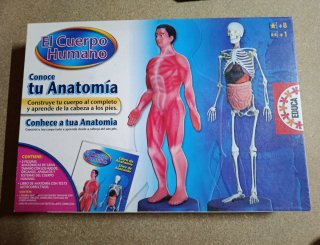Juego El Cuerpo Humano Anatomía Educa