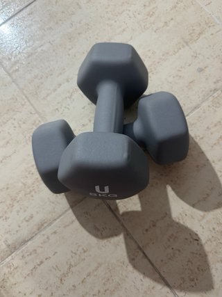 Mancuernas 8 kg (U)