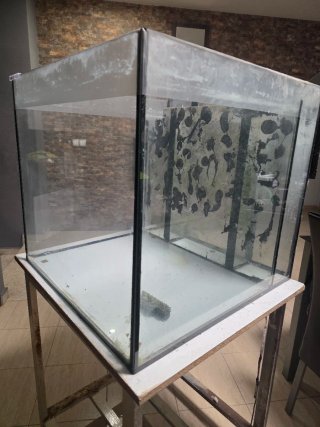 Acuario 200L