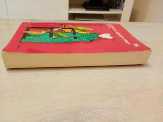Las novelas ejemplares de Cervantes