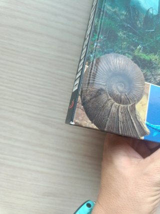 Dinosaurios. La enciclopedia visual