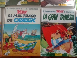 Lote 10 libros Asterix