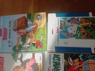Lote 10 libros Asterix