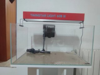 Acuario 60L