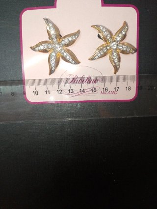 Pendientes Ribelino Estrella Dorados y Plateados