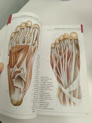 Atlas de anatomía