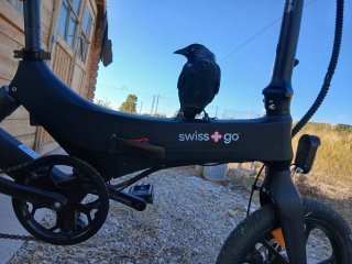 Bici eléctrica SWIS-PRO BK-16