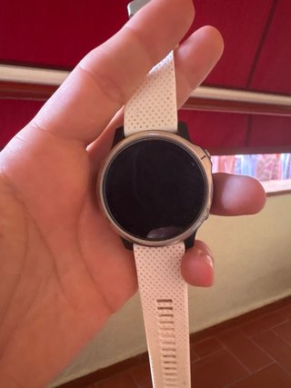 Garmin Fenix 6S Plata/Blanco
