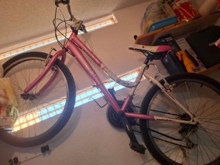 Bicicleta de montaña Phoenix rosa
