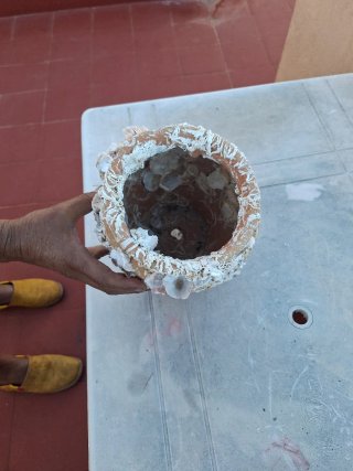 Jarrón decorativo conchas