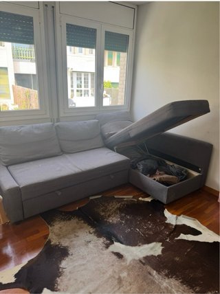 Sofá Cama IKEA FRIHETEN Gris