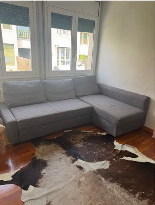 Sofá Cama IKEA FRIHETEN Gris