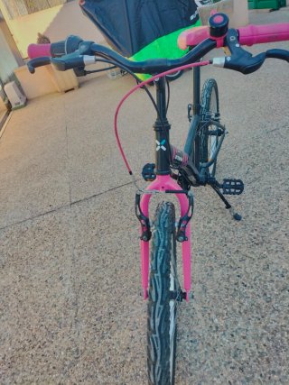 Bicicleta 20 niña rosa