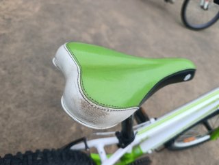 Bicicleta Infantil 20 Pulgadas