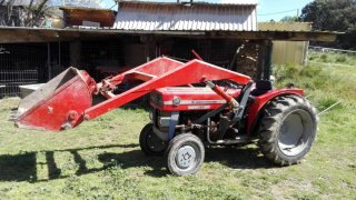 Tractor Massey Ferguson 147 amb pala frontal